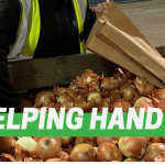 A helping hand